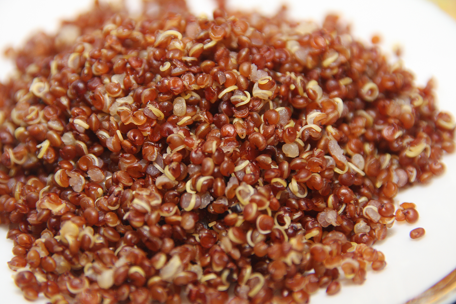 11 Bienfaits Du Quinoa Prouv s Scientifiquement Therapeutes Magazine