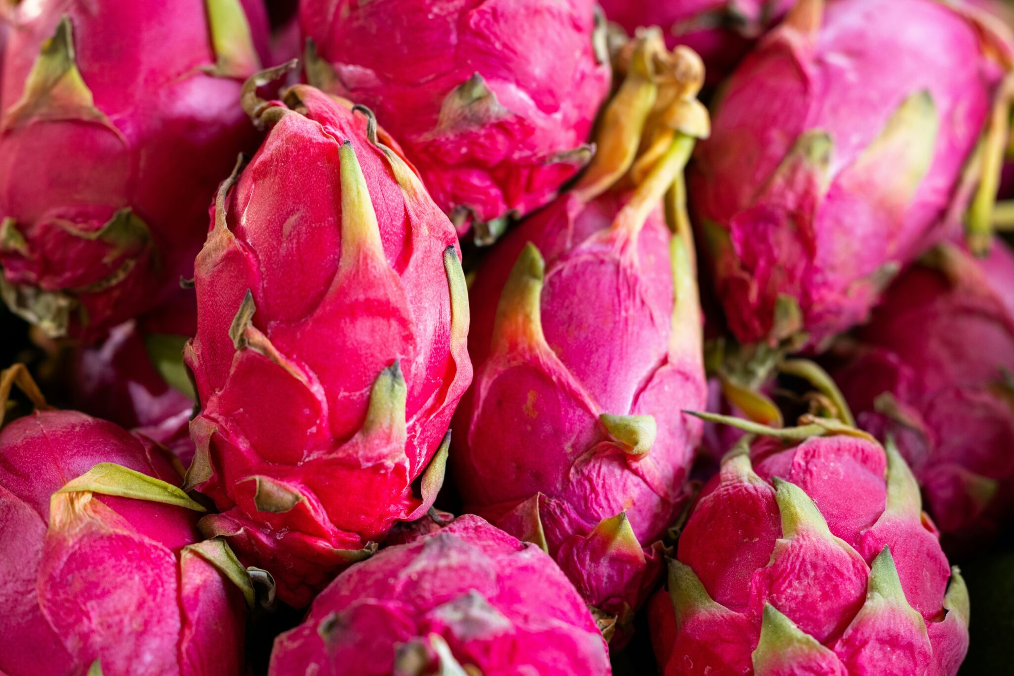 Fruit du dragon (Pitaya) bienfaits santé et conseils de préparation