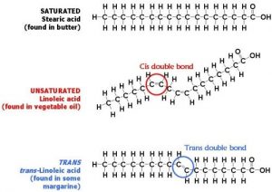 unsaturated-fat-cis-vs-trans