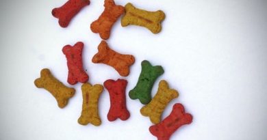 friandises maison pour chien