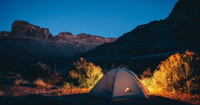 bienfaits du camping