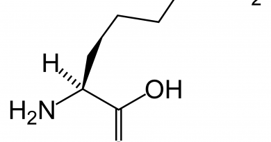 L-lysine