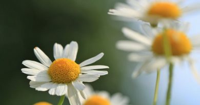a qui s'adresse la naturopathie