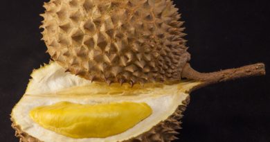Durian : Un fruit malodorant mais aux nombreux bienfaits