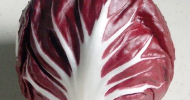 Les nombreux bienfaits du radicchio