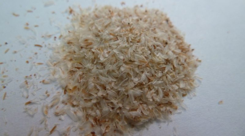 Les vertus du psyllium sur la santé