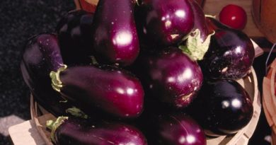 Les bienfaits de l'aubergine (Cancer, Cholestérol, maladie cardiaque)
