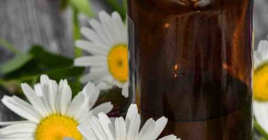 huile essentielle camomille romaine bienfaits