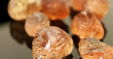 Gomme arabique