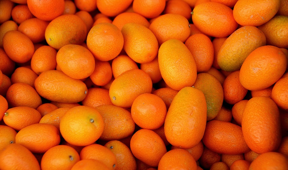 kumquat bienfaits