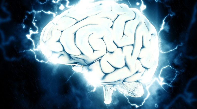neurotransmetteurs