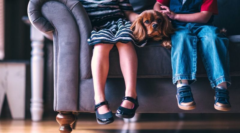 renforcer immunité enfants