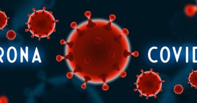 systeme immunitaire coronavirus