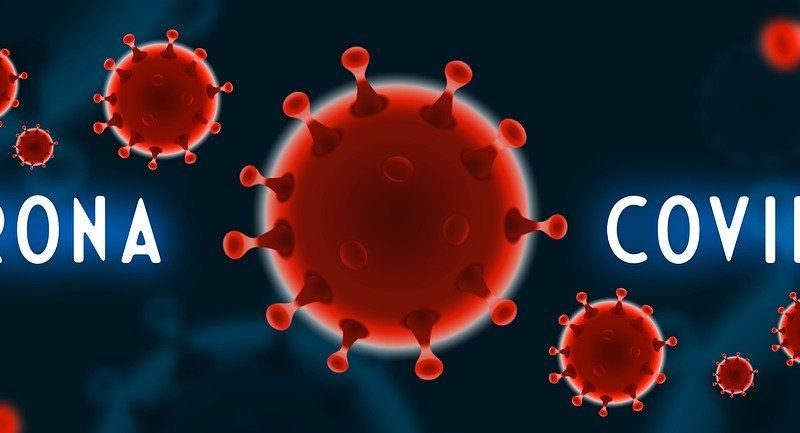 systeme immunitaire coronavirus