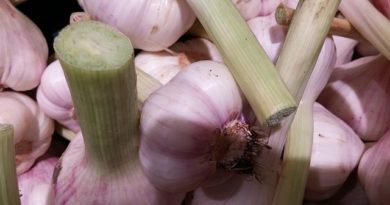 gamma gt élevé que faire naturellement