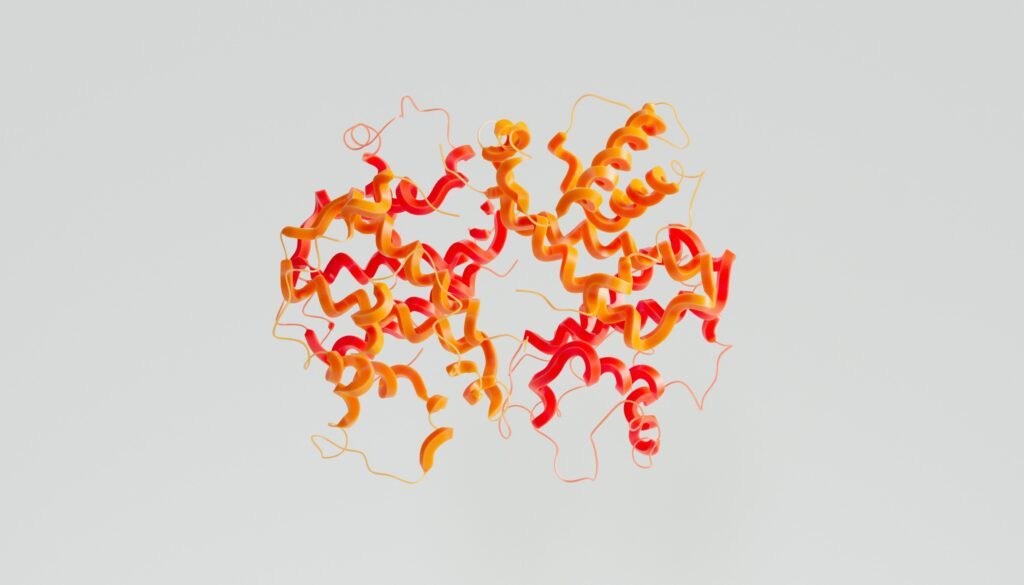 Une protéine est une macromolécule biologique. Elle est composée d'une chaîne linéaire d'acides aminés, reliés entre eux par des liaisons appelées liaisons peptidiques.
