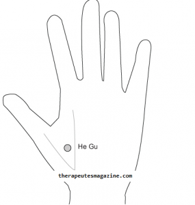 Le point "He Gu" est localisé sur la face dorsale de la main, entre le pouce et l'index.