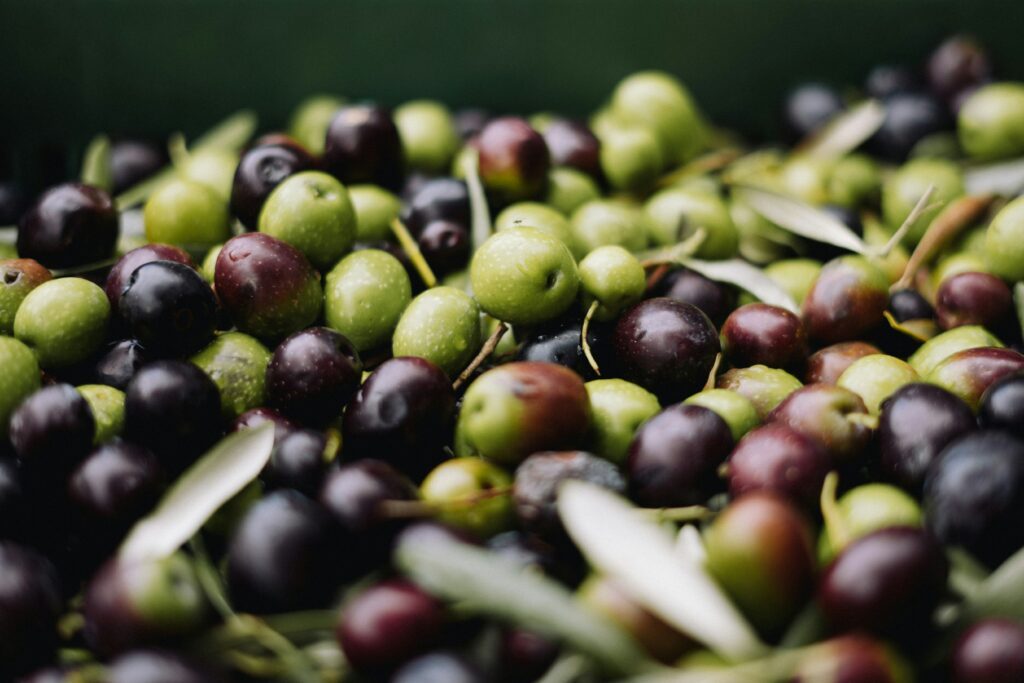 Les olives sont des fruits riches en graisses saines, faibles en glucides et riches en antioxydants.