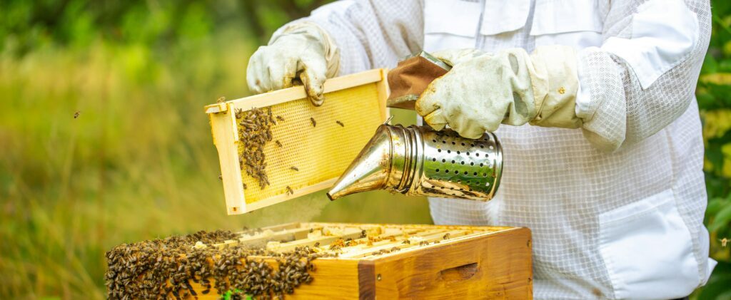 Elle apporte avec elle les bienfaits de la ruche pour notre bien-être général.