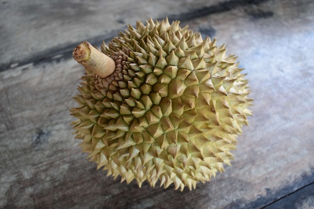 Précautions à prendre avec le durian.