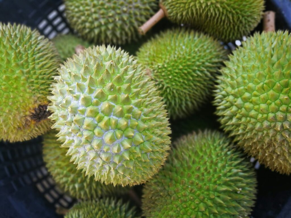 Le fruit durian : quelque chose difficile à trouver en France ?
